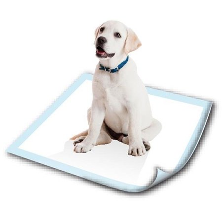 POOCHPAD Poochpad DP18282 Medium Disposable Potty Pad - Pack of 20 DP18282